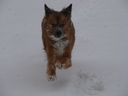 DSC01115.JPG