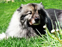 DSC01311 more color.jpg
